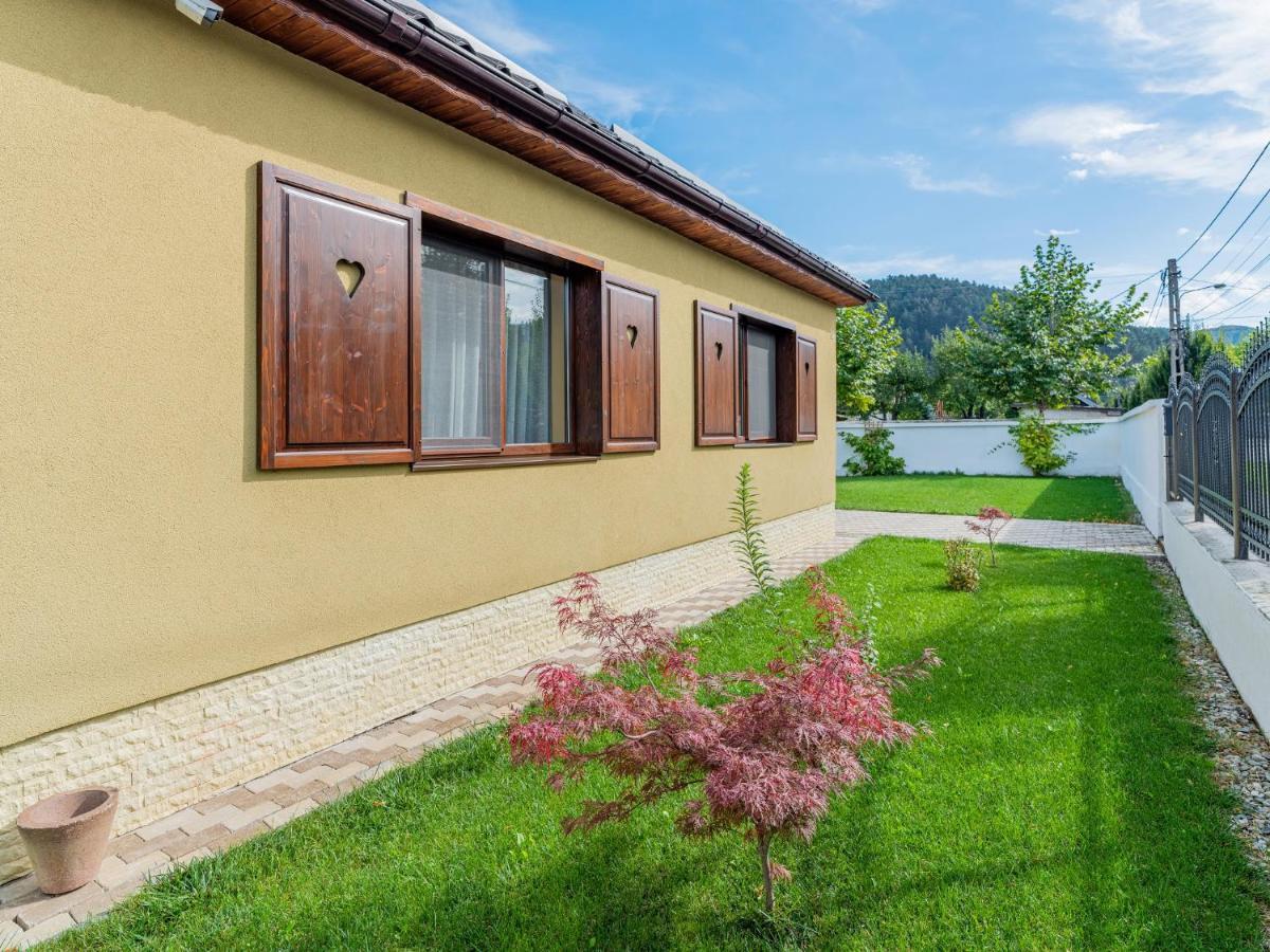 Hotel Casa Saraste Rîşnov Esterno foto